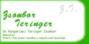 zsombor teringer business card